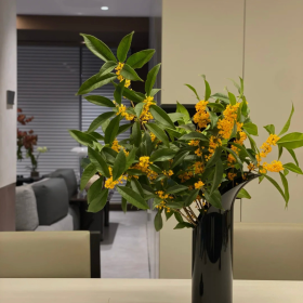 生活很苦 自己加糖 