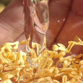 很赞同傅首尔说过的一