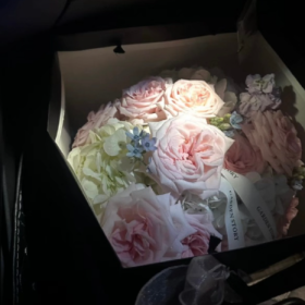 我想要的 我羡慕的 