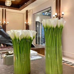 心平能愈三千疾 心静