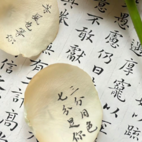 费尽心思和你聊天的样