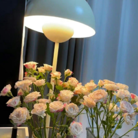 答案在路上 自由在风