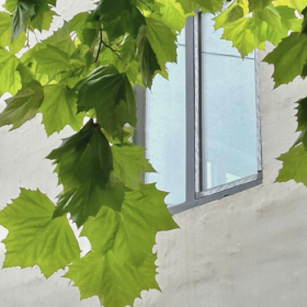 成年人之间的看透未必