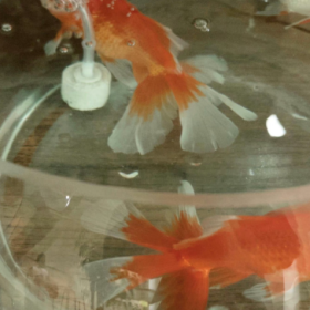 成年人之间的看透未必