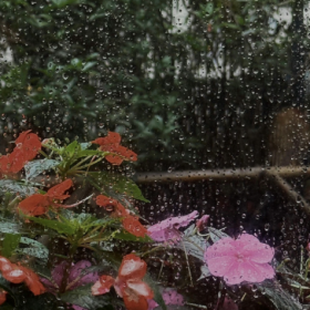 成年人之间的看透未必