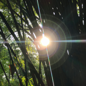 自己开心就行，不要相