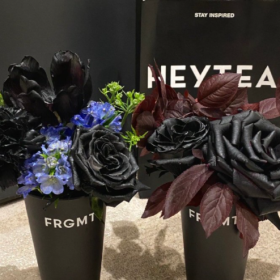 网上聊天：没有我接不