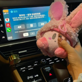 到底有多少人到现在还