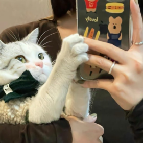 聪明的女人，爱而不痴