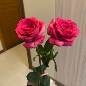 人山人海是生存，翻山