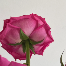 人山人海是生存，翻山