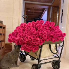 人山人海是生存，翻山