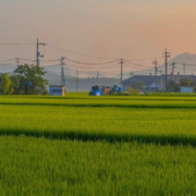 关于故乡
渐行渐远