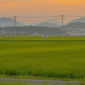 关于故乡
渐行渐远