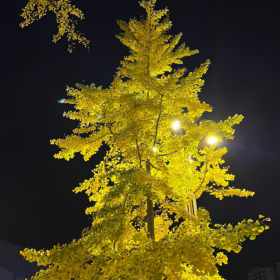 生活，其实和天气一样