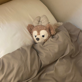 岁月静好是片刻,一地