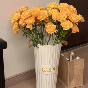 岁月静好是片刻,一地