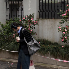 允许一切如其所是  