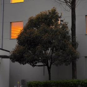 允许一切如其所是  