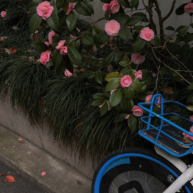 允许一切如其所是  