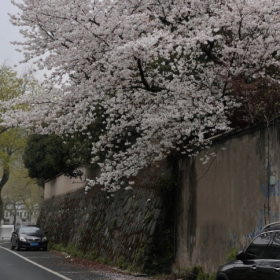 允许一切如其所是  