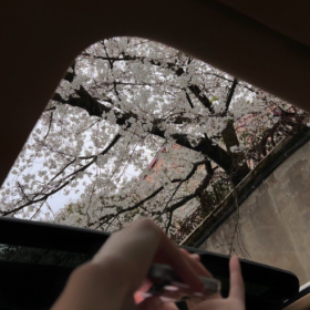 允许一切如其所是  