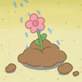 章鱼哥细心呵护每一朵
