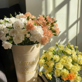 家家有本难念的经,不