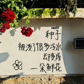 分享图片