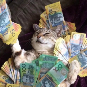 快年底了 接点招财猫