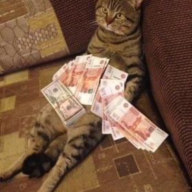 快年底了 接点招财猫