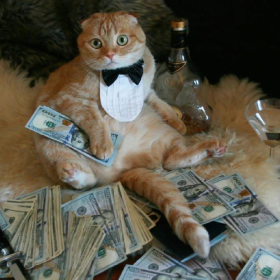 快年底了 接点招财猫