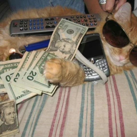 快年底了 接点招财猫