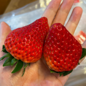 很多时候确实不明白自
