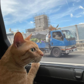 “小人间