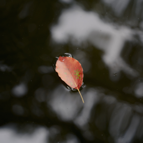 西湖·