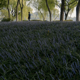 西湖·