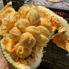 " 数不清
