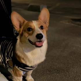 最近开心吗
图源微