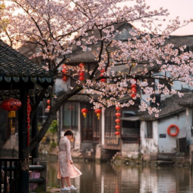 春暖花开西塘镇，最美