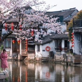 春暖花开西塘镇，最美