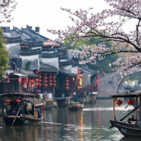 春暖花开西塘镇，最美