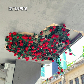 好想都走一遍 [s-