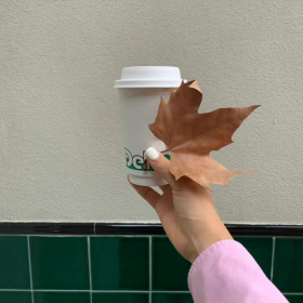 记住：

挑你毛