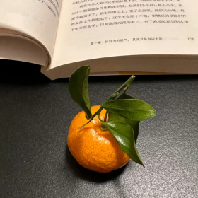 记住：

挑你毛