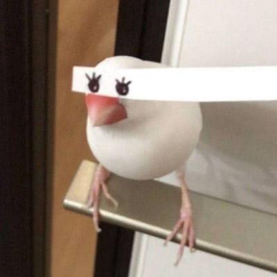叽里呱啦咕咕咕