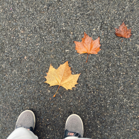 过普普通通的生活,做