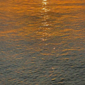 “突然没