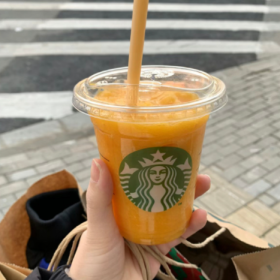 永远风华正茂 ​
