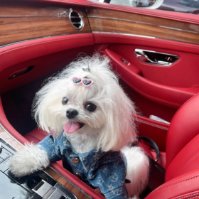 何必再去质问什么 态